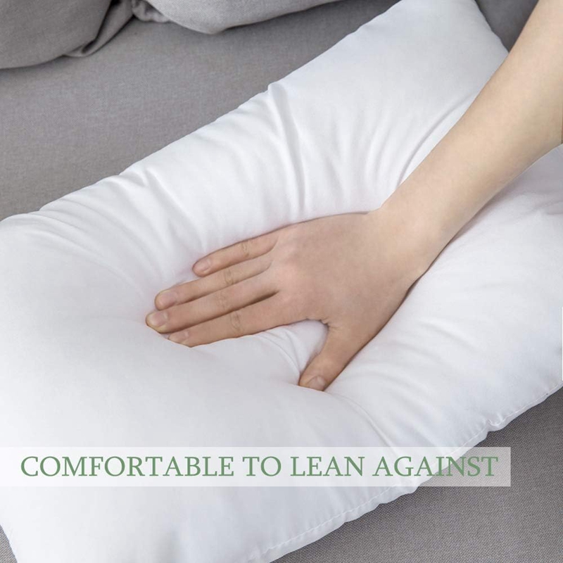หมอนแกนสีขาวขนาด30x50ซม. 45X45 - Pillow Insert 18X18 บทวิจารณ์และราคา